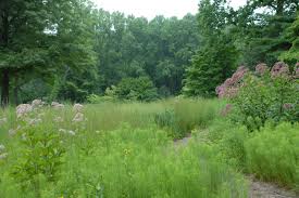 Mt. Cuba Center, Hockessin, Delaware.