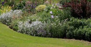 Neat edge enhances this garden's curves