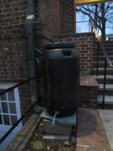  A plastic tank collects water from a downspout for use in a courtyard. Photo: David Garth