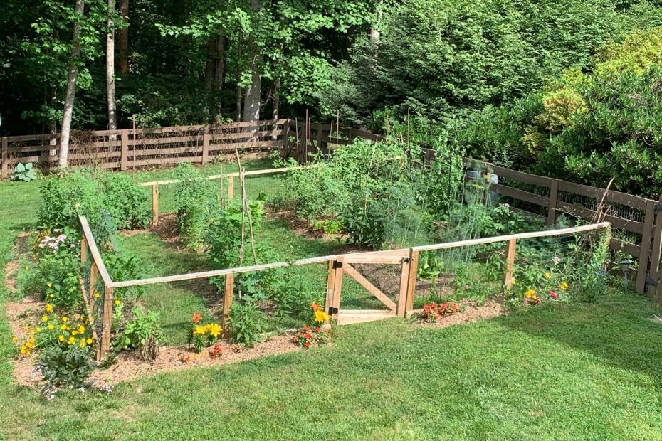 July vegetable garden