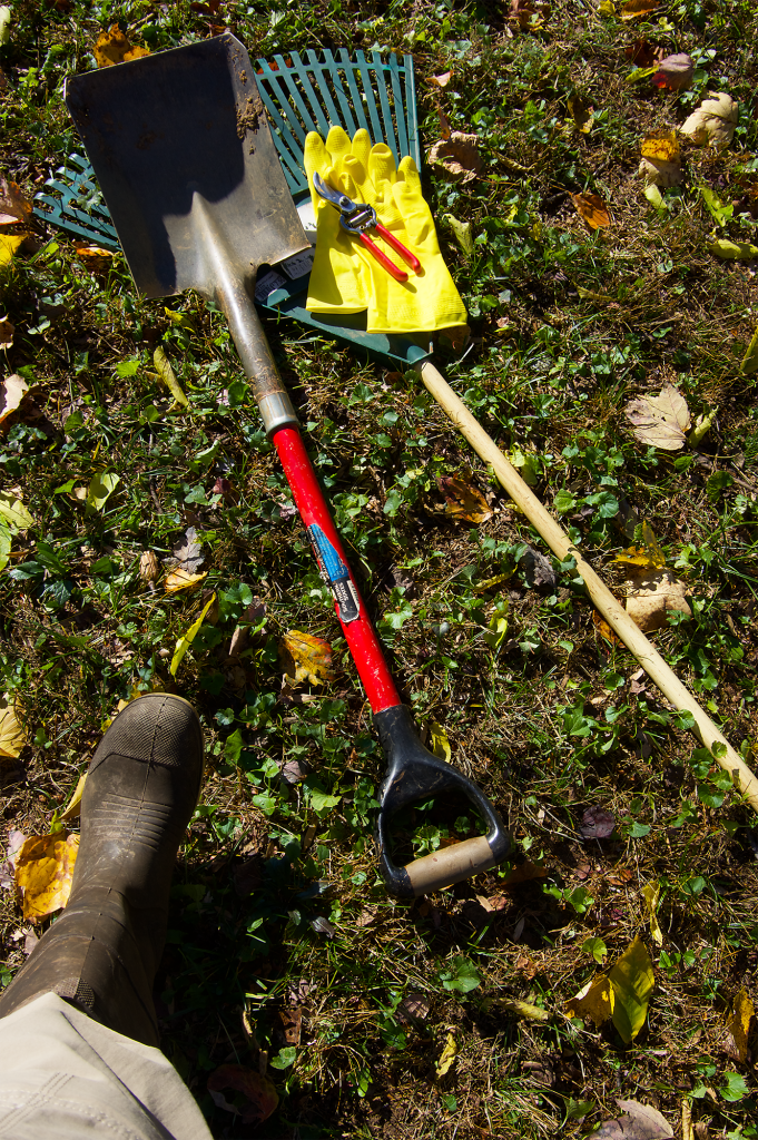 Tools for ivy removal: shovel, clippers, rake, gloves, boots, long pants