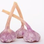 garlic photo: Pixabay