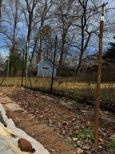 pieces of conduit supported on fence posts, forming an overhead support running down a row in a garden