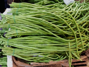 display of Asian yard-long beans at a market. Long grean beans, about 2 feet long, bundled together