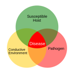 Disease Triangle