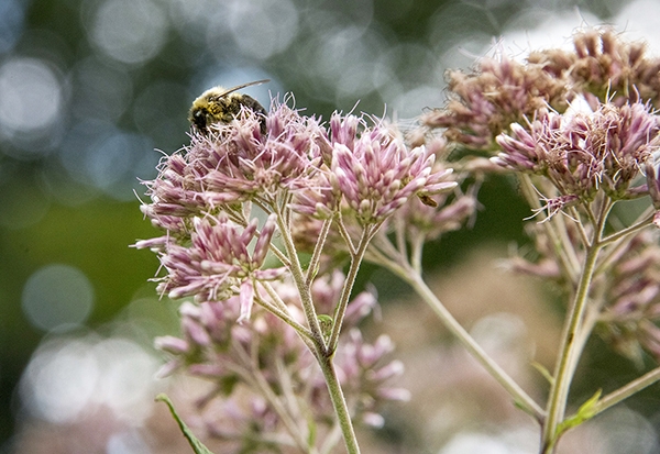 2023_GB_October_Propagation_web