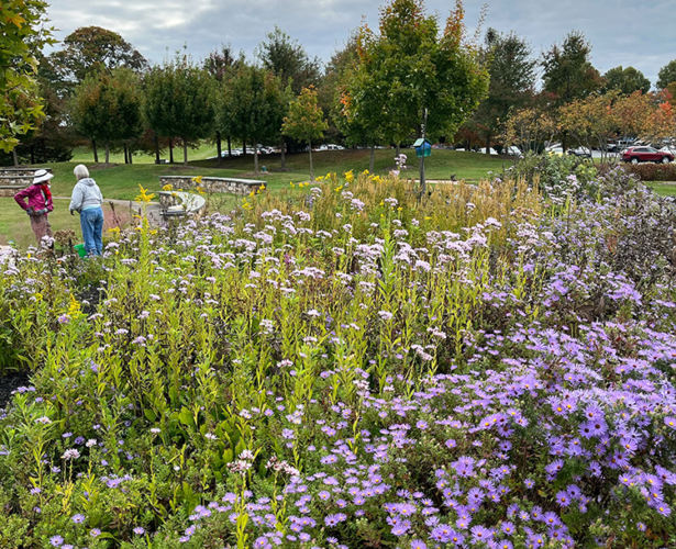 GB_Fall Garden Cleanup_web