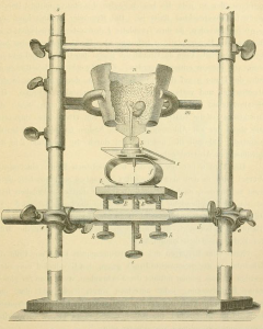 diagram showing an apparatus for measuring the pressure exerted by a growing root. A pot holds a seedling, with a root protruding down into a solid block that deflects a sheet of some material as the root elongates.