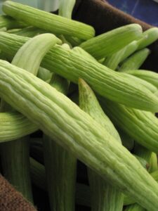 light-green Armenian cucumbers with deeply scalloped edges