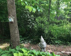 Julia Green garden. Photo by C.Caldwell