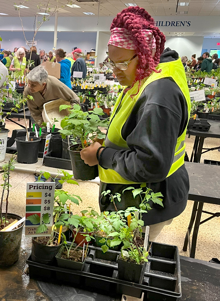 2024_05_plant sale-fotor-2025010965438